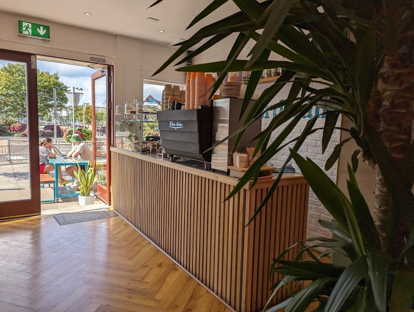 Inside Boardwalk Social — wood-slat coffee counter, plants and a view out to Bangor marina